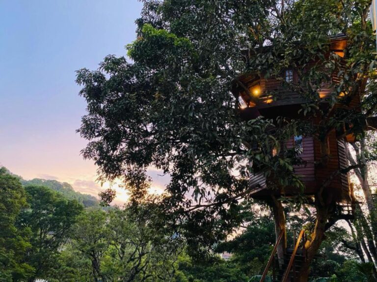 kandy-pic-1